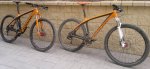 NINER 321.jpg