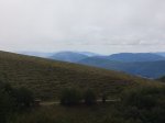 2011-08-07 11.54.34.jpg