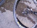 DSC00934.jpg
