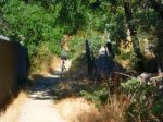 Foto8.JPG