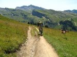 IMG_3979.JPG