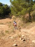 cati (19).jpg