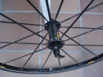 DSC05550.JPG
