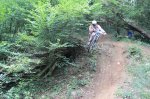 IMG_2288.JPG