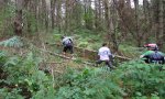 IMG_1774.JPG