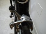 DSC00257.jpg
