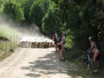 IMG_5412.JPG