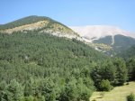 IMG_5441.JPG