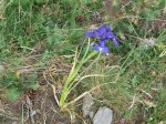 IMG_5527.JPG