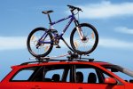 Bicycle_Attachment__Thule_Pro_Ride_591_large.jpg