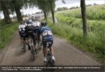 eneco11st01-trees.jpg