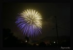 IMG_3813 copy.jpg