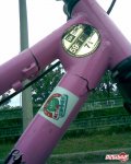 pbpic1375131.jpg