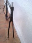 10082011239.JPG