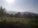 10082011999_800x600.jpg