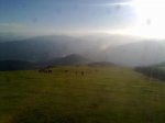 100820111012_800x600.jpg