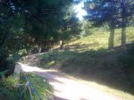 100820111003_800x600.jpg