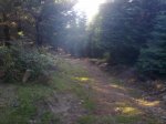 100820111019_800x600.jpg