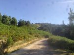 10082011998_800x600.jpg