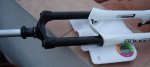 DSC02429r.jpg