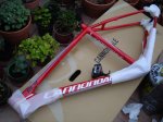 DSC02408r.jpg