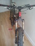 DSC00517.jpg