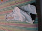 DSC02308.JPG