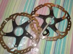 DSC02317.JPG