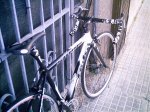 goka 008.jpg