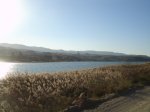 DSC07698.JPG