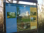 DSC07722.JPG