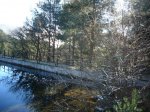 P0000024_redimensionar.JPG