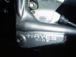 hayes 008.jpg