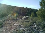 IMAG0107.jpg