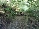 11082011866.jpg