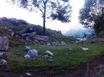 2011-08-11 19.42.32.jpg