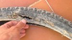 12082011241.JPG