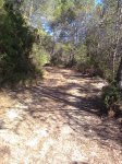 Imagen0497.jpg