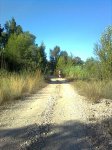 Imagen0494.jpg
