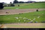 eneco11st03-green.jpg