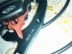 12082011693.jpg