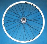 Rueda delantera disco.JPG