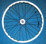 Rueda trasera disco.JPG