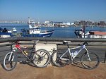 2011-08-14 09.56.58.jpg
