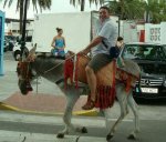 BURRO.jpg