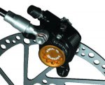 D_115 HOPMM4.jpg
