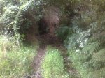130820112945 (FILEminimizer).jpg