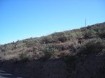 DSCN7004.JPG