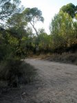 P8110117-1.JPG