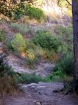 P8110132-1.JPG
